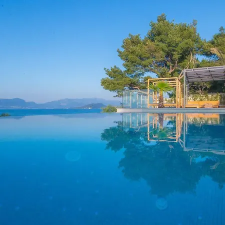 Olive Hill House - Ground Floor