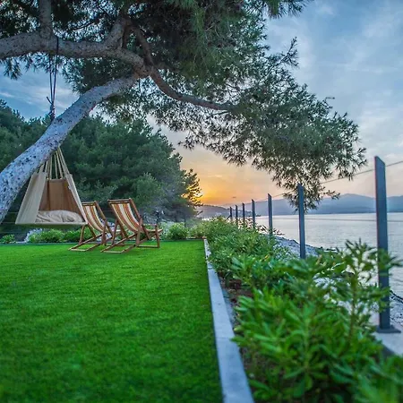 Olive Hill House - Ground Floor